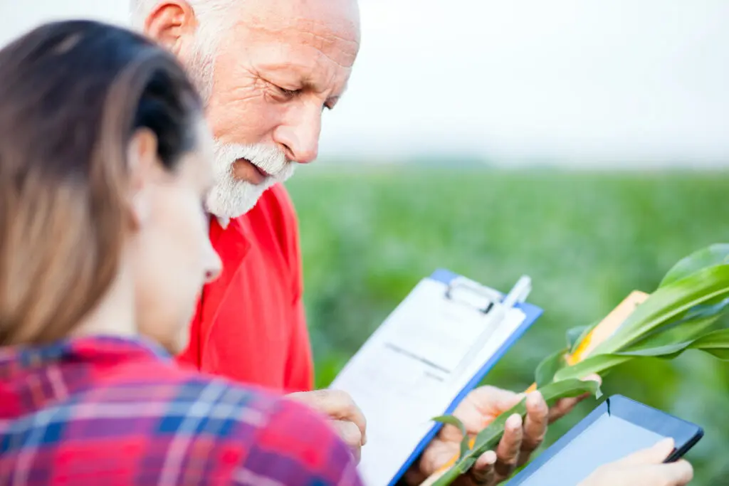Two farmers looking at data